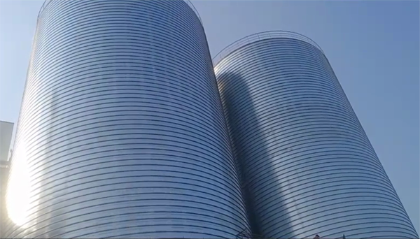 芙蓉2座混凝土高架卷板仓